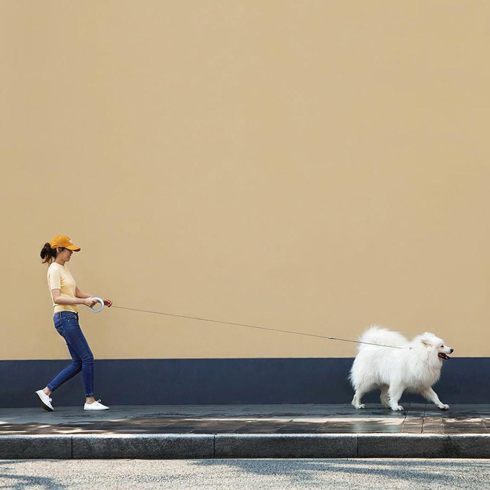 MOESTAR™ UFO Retractable Ring Shape Dog Leash