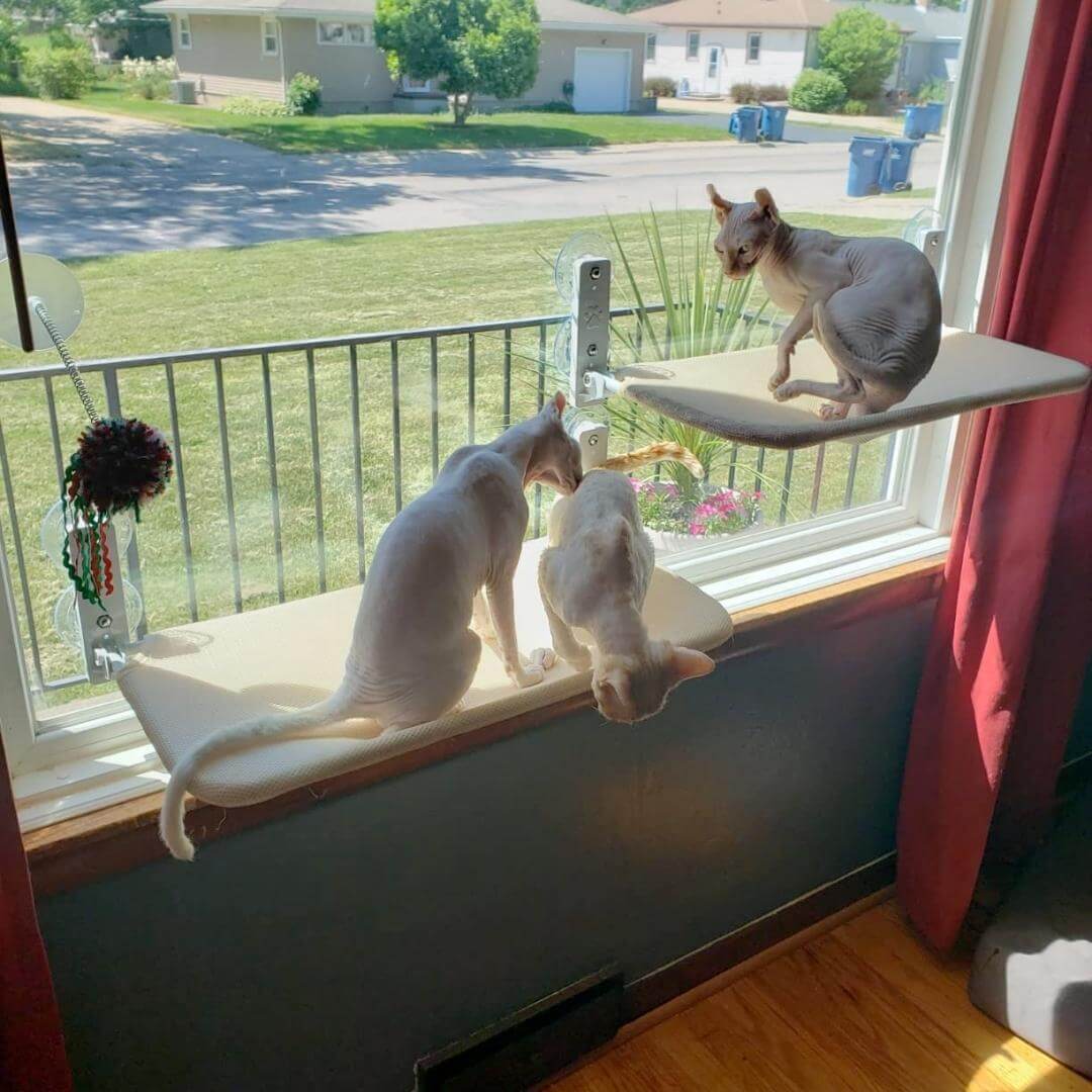 NunaPets® Foldable Cat Hammock