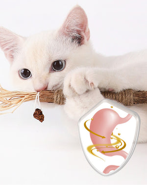 Nunapets® Natural Silvervine Stick Cat Chew Toy