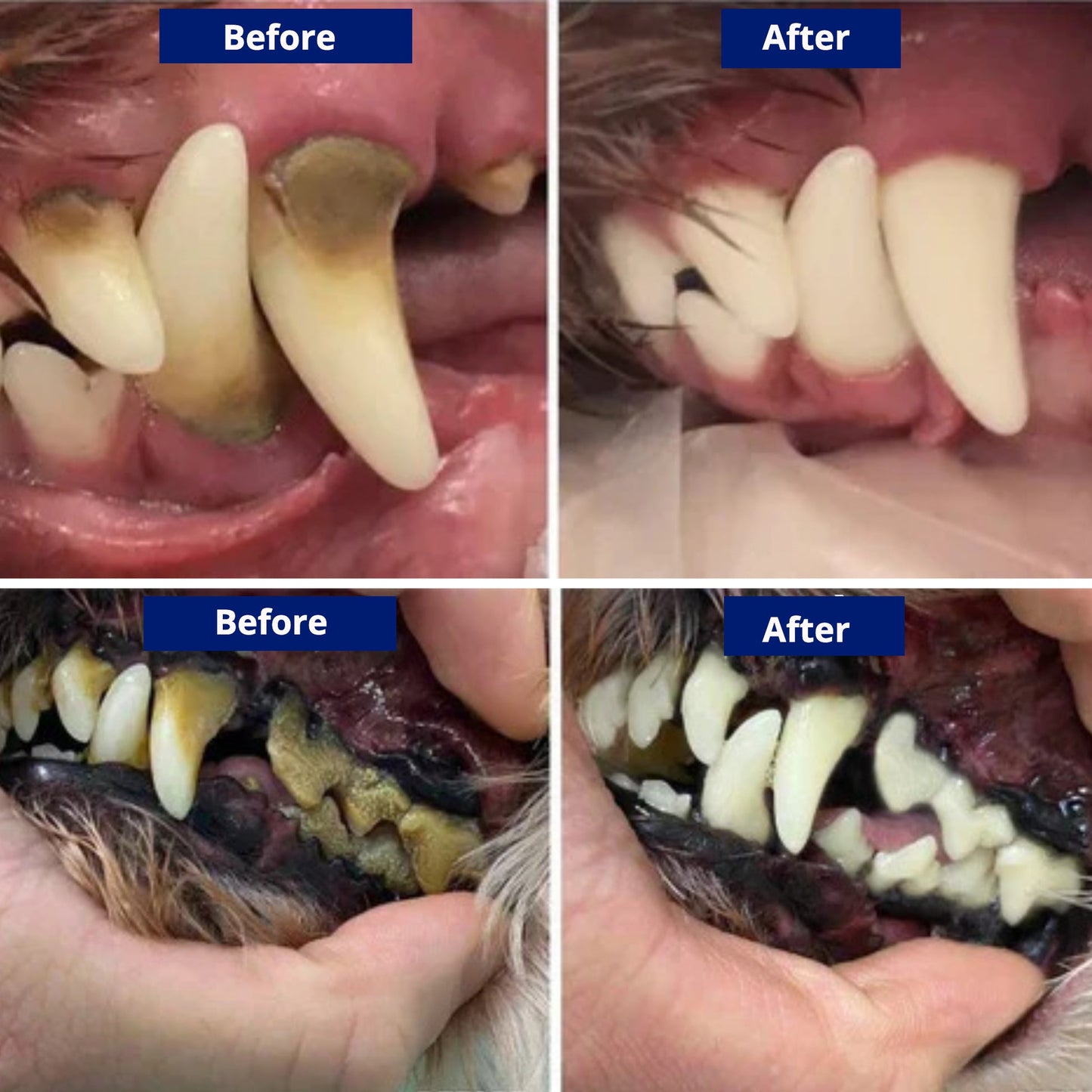 NunaPets® Utrasonic Tooth cleaner for dogs