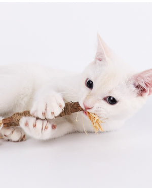 Nunapets® Natural Silvervine Stick Cat Chew Toy