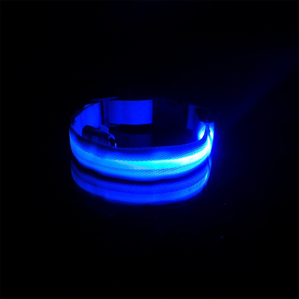 Nuna LED Dog Collar™ - USB Rechargeable