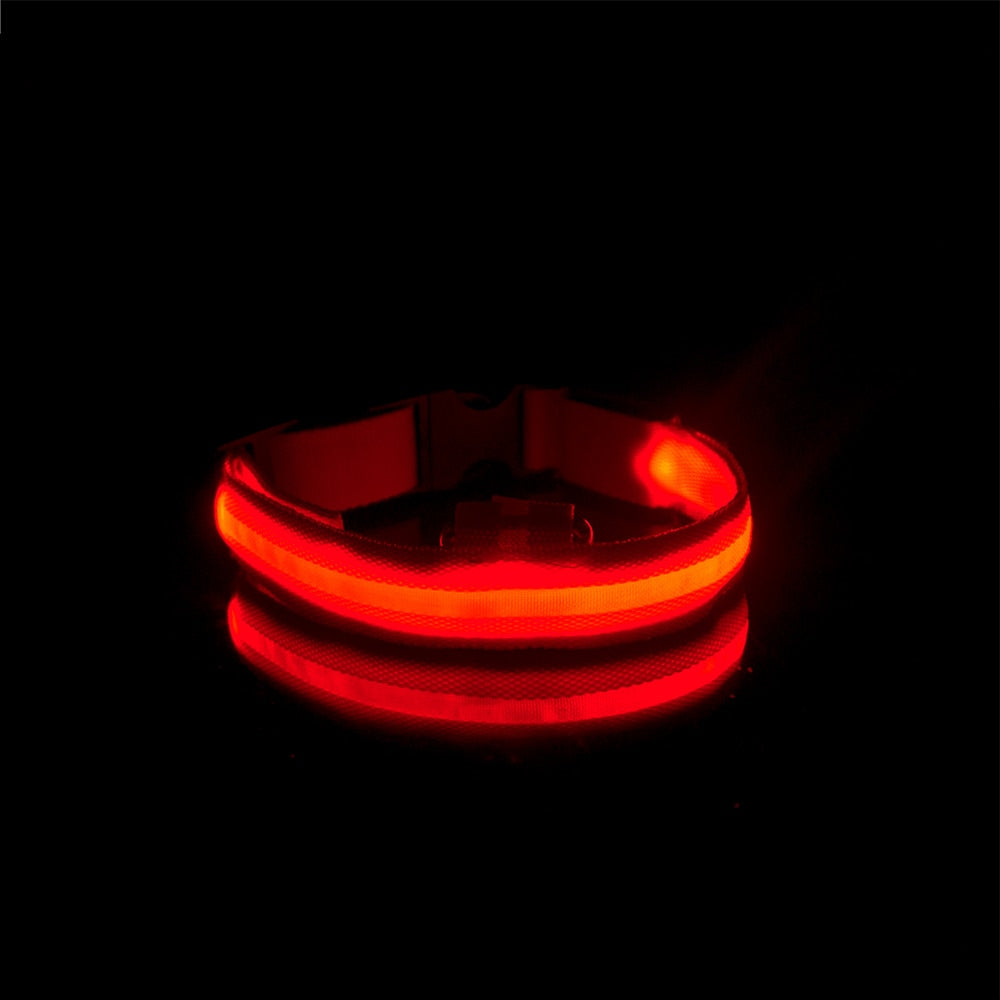 Nuna LED Dog Collar™ - USB Rechargeable