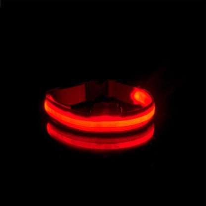 Nuna LED Dog Collar™ - USB Rechargeable