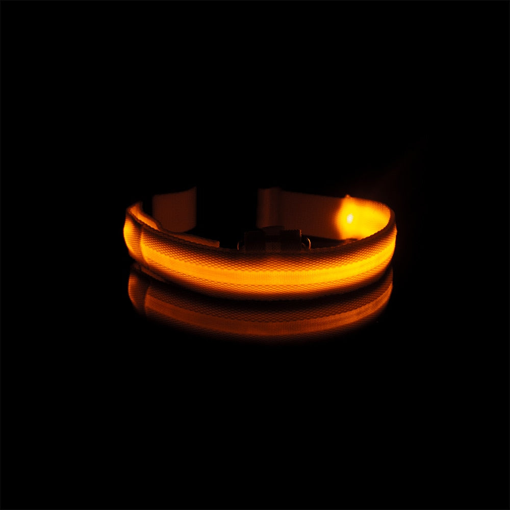 Nuna LED Dog Collar™ - USB Rechargeable