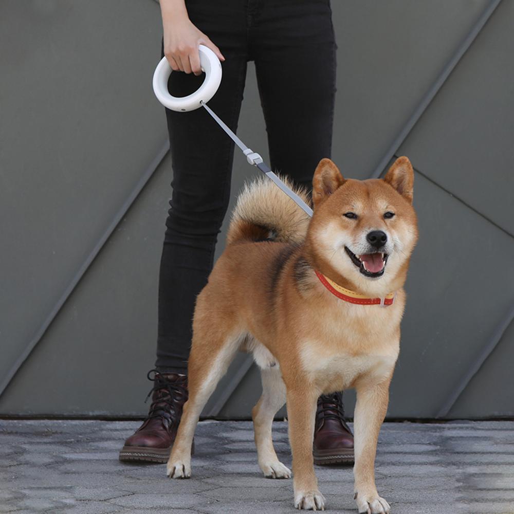 MOESTAR™ UFO Retractable Ring Shape Dog Leash