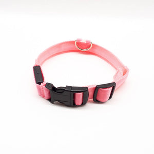 Nuna LED Dog Collar™ - USB Rechargeable