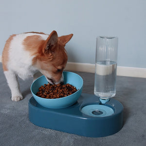 Pet Bowl With Food And Water Function