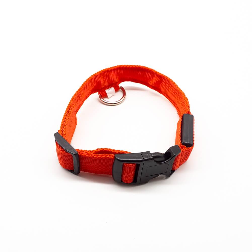 Nuna LED Dog Collar™ - USB Rechargeable