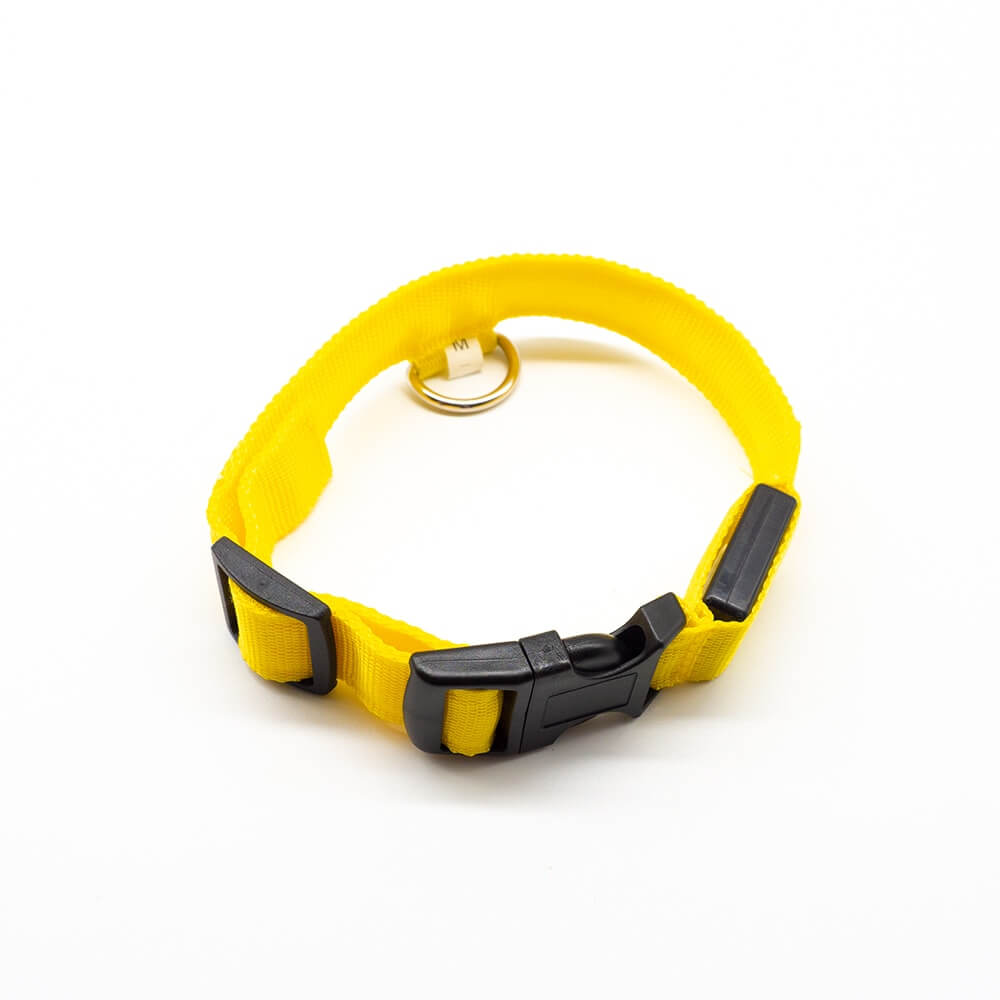 Nuna LED Dog Collar™ - USB Rechargeable