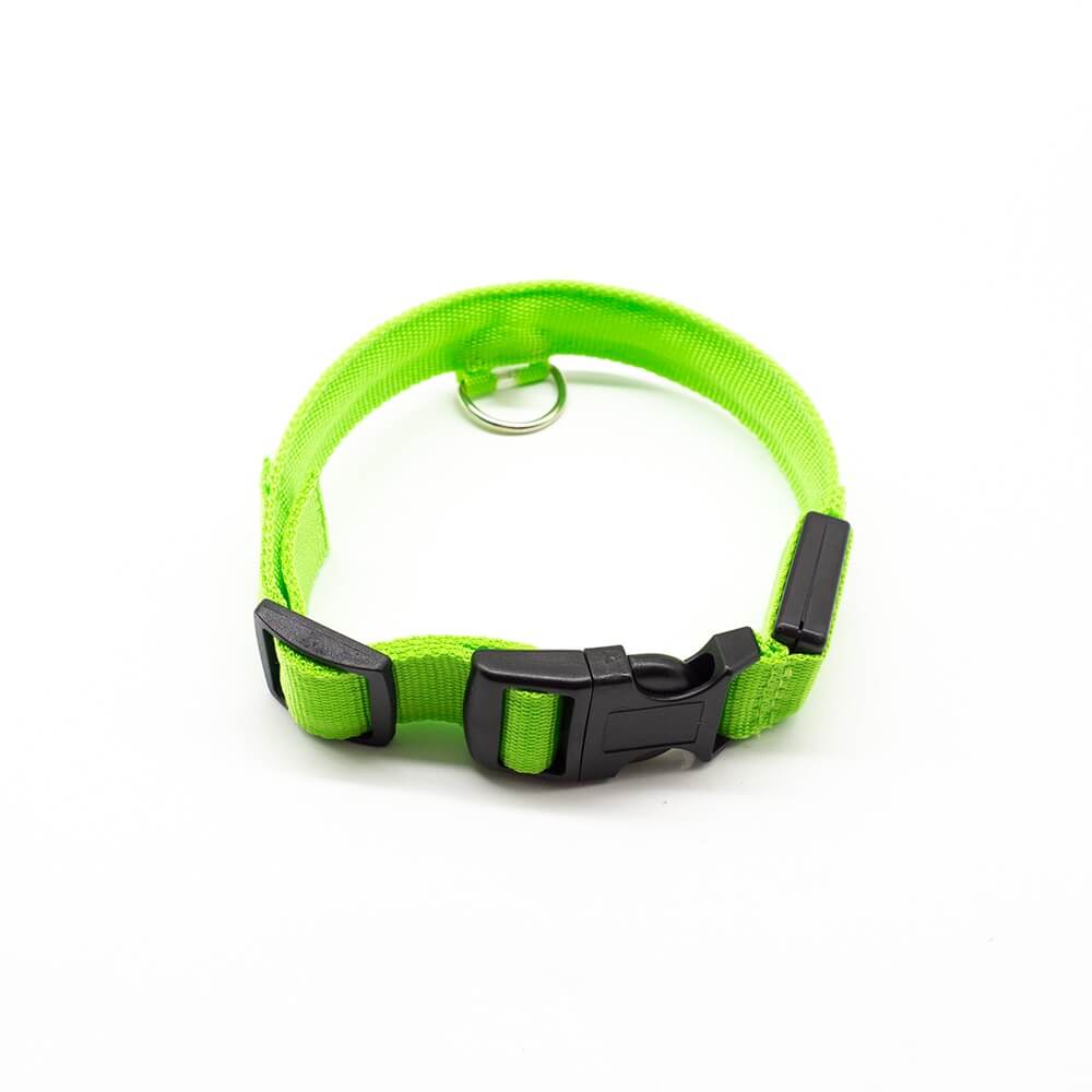 Nuna LED Dog Collar™ - USB Rechargeable