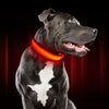 Nuna LED Dog Collar™ - USB Rechargeable