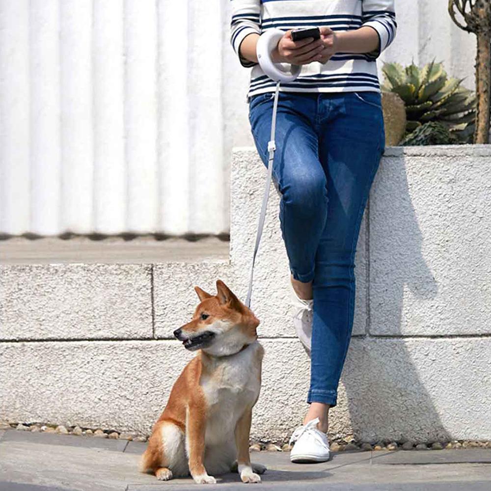 MOESTAR™ UFO Retractable Ring Shape Dog Leash